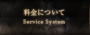 料金について Service System